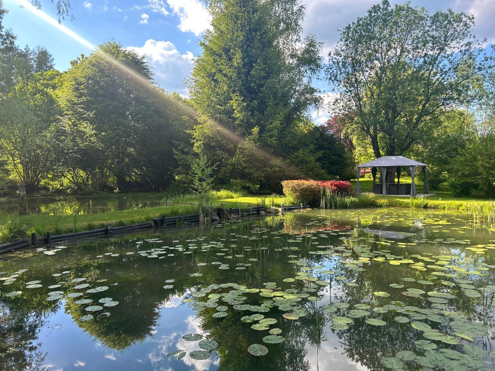 Gite Les Marmottes La Salle (Vosges) Exterior foto