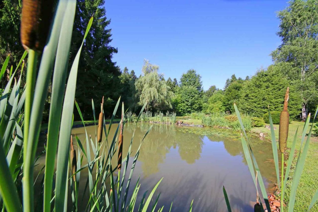Gite Les Marmottes La Salle (Vosges) Exterior foto